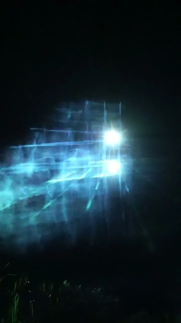 Outdoor projection in a forest in Bernadowo.